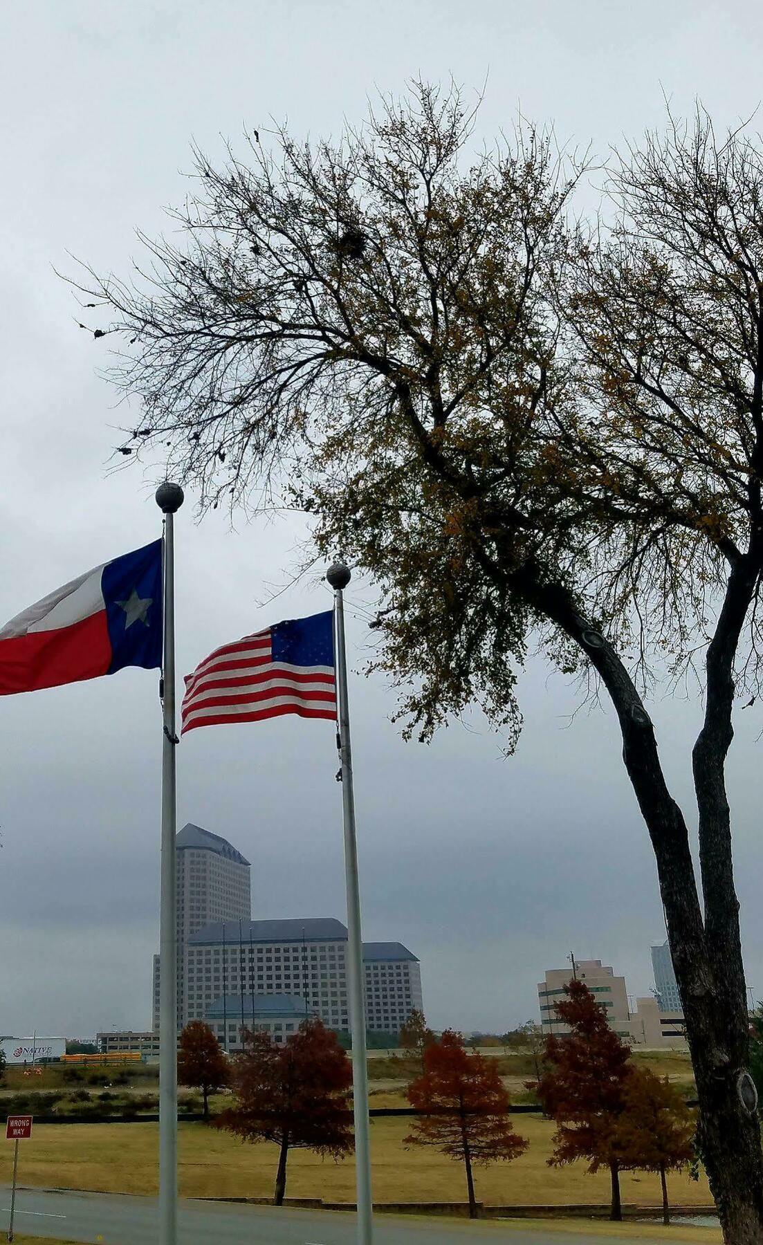 Holiday Inn Irving Las Colinas By Ihg Dış mekan fotoğraf